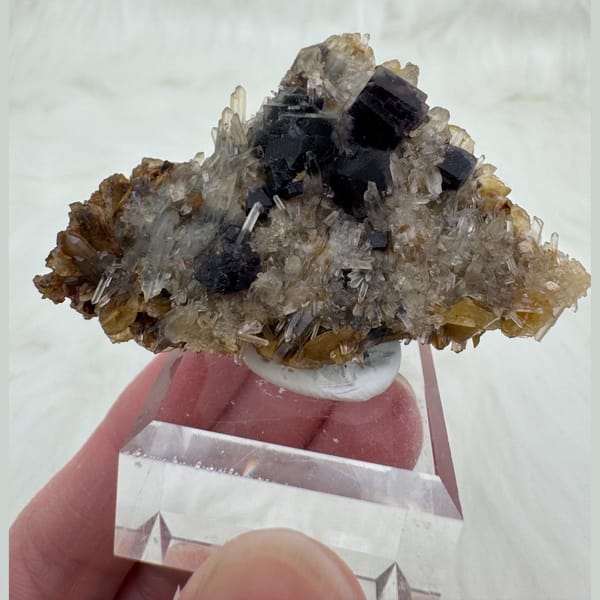 Deep Purple Fluorite with Quartz 5.0 cm — complete view