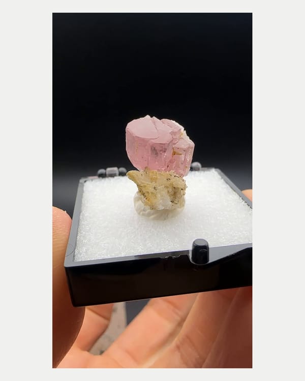 Complete front view of pink Pakistan apatite on pale matrix