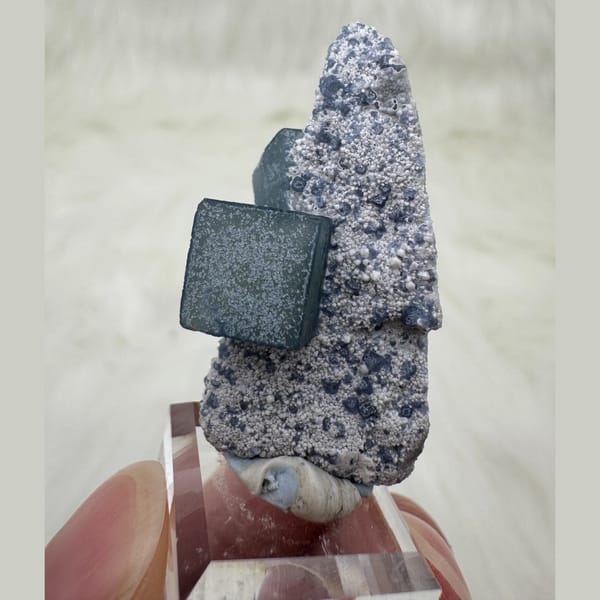 Morandi Blue-Grey Fluorite Inner Mongolia 4.0 cm — complete view
