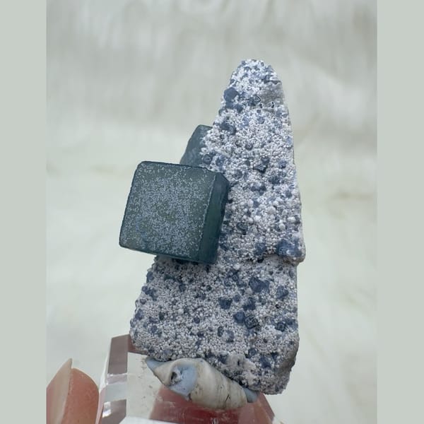 Morandi Blue-Grey Fluorite Inner Mongolia 4.0 cm — alternate view