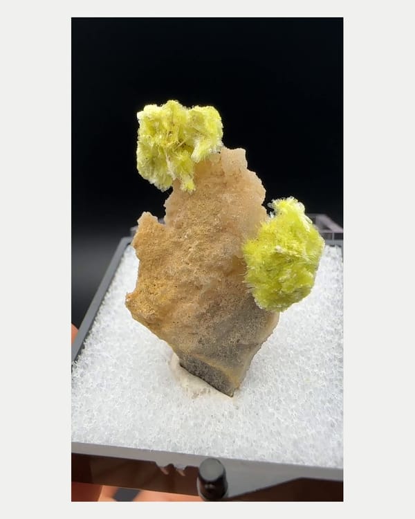 Complete front view of yellow fluellite rosette cluster