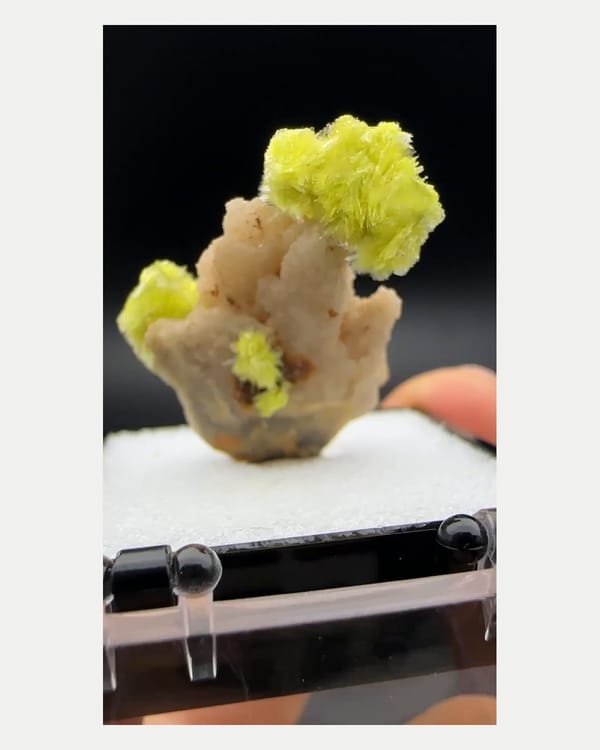 Complete reverse view of yellow fluellite rosette cluster