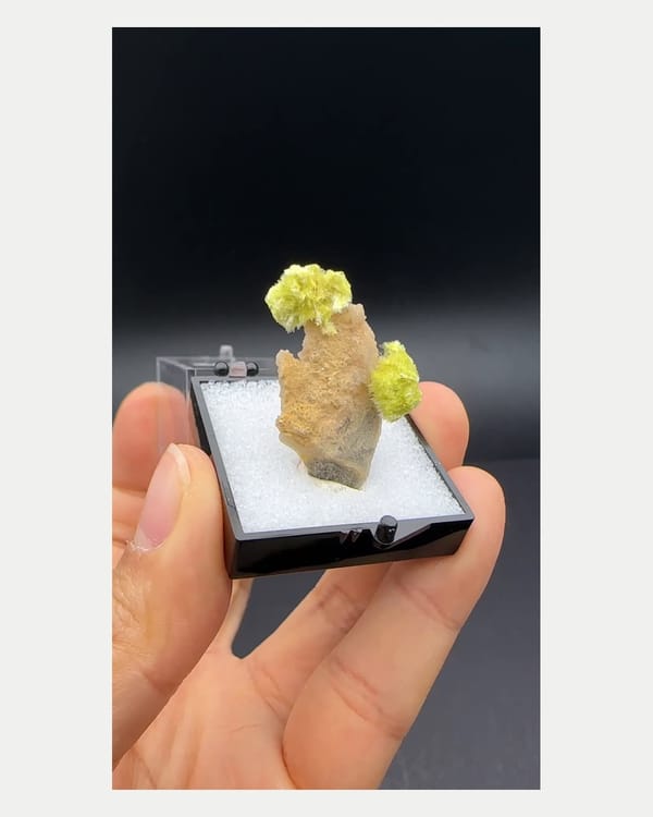 Complete right oblique view of yellow fluellite rosette cluster