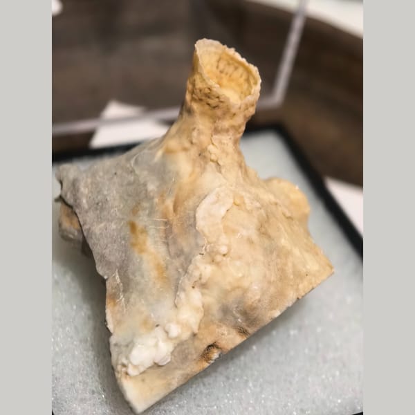Yellow wine-cup aragonite on matrix — complete view