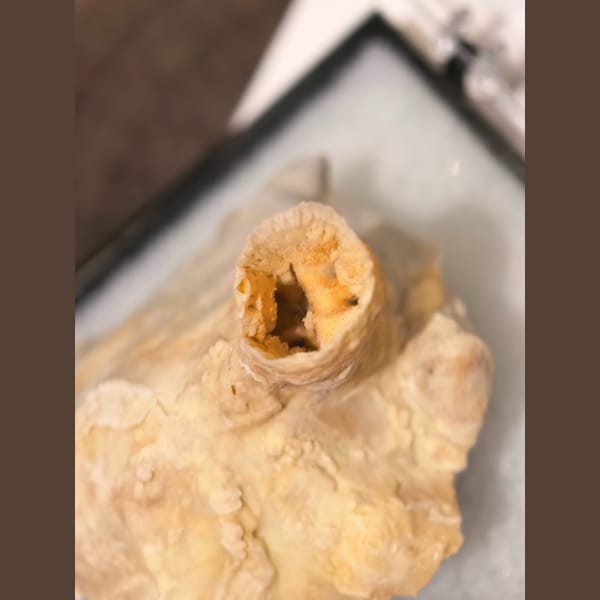 Yellow wine-cup aragonite on matrix — alternate view