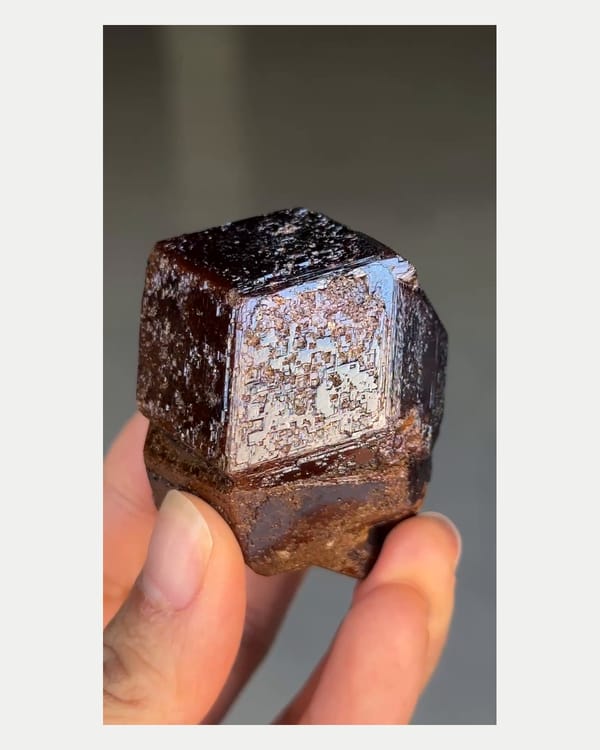 Complete left oblique view of large andradite garnet crystal