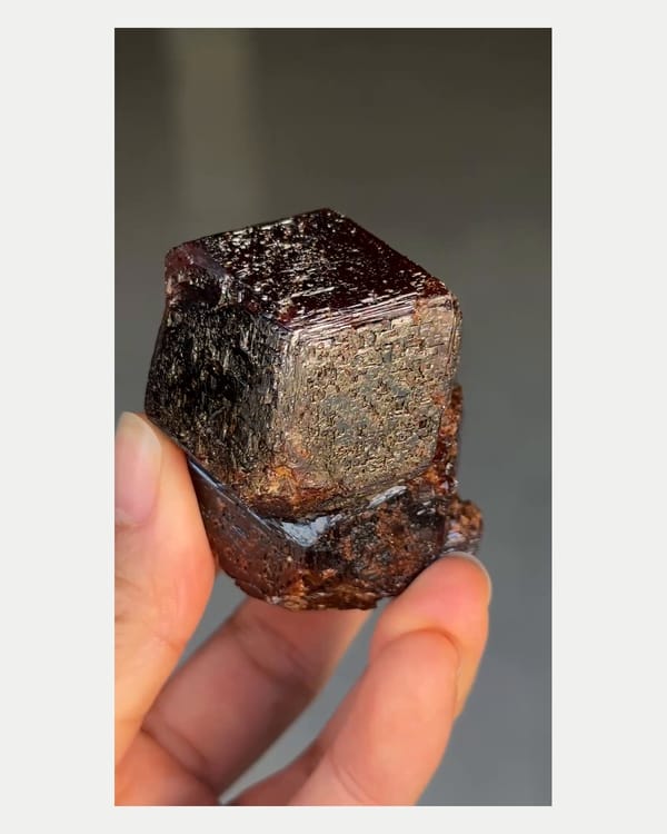 Complete reverse view of large andradite garnet crystal