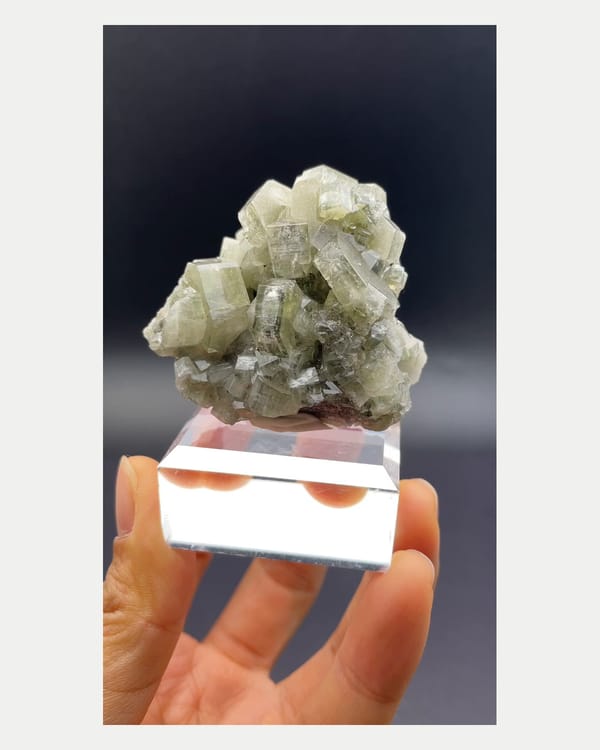 Complete normal-light front view of Portuguese fluorapatite cluster