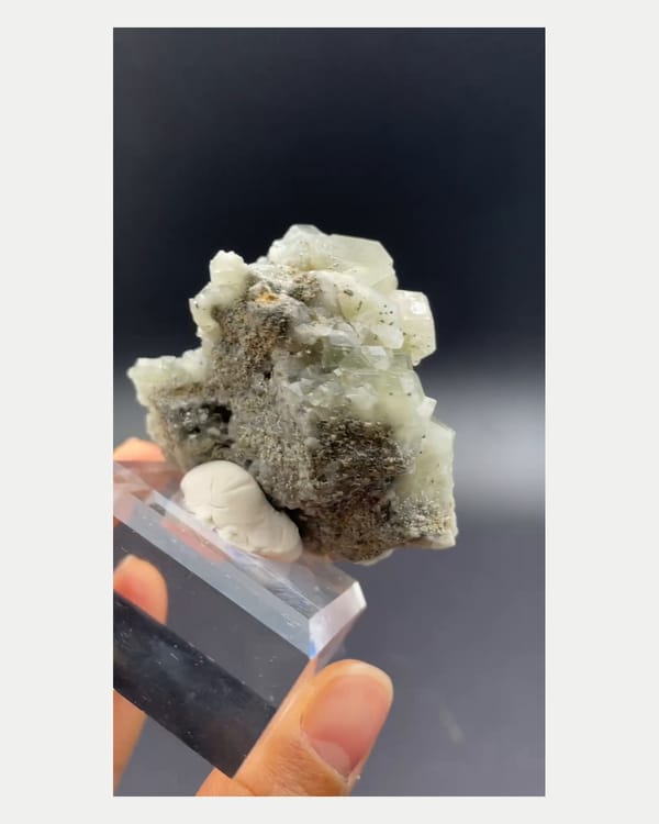 Complete reverse view of Portuguese fluorapatite specimen