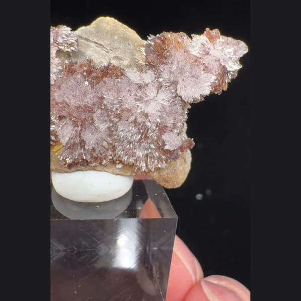 Pink-White Creedite with Yellow Inclusions 3.5 cm — alternate view