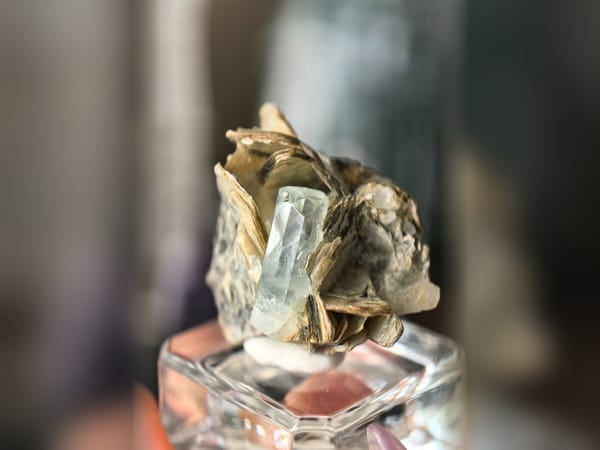 Pakistan Aquamarine with Golden Mica 22.9 g, Beryl Matrix Mineral Specimen — complete view