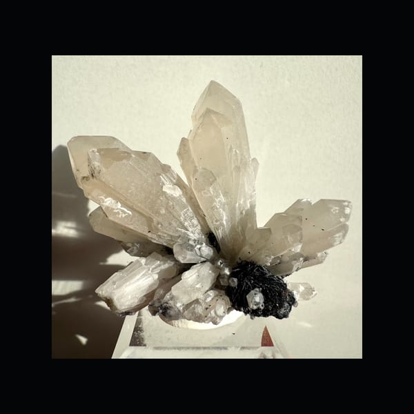 Quartz with Specular Hematite & Andradite — East Ujimqin — front profile