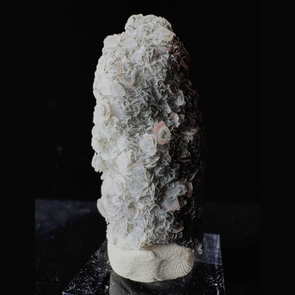 Quartz with Pink Petal Calcite Inner Mongolia 5.0 cm — alternate view