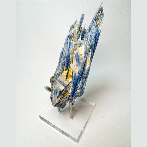 Blue Kyanite Blades 8.0 cm — complete view
