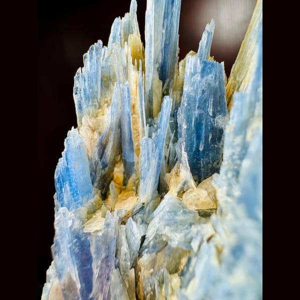 Blue Kyanite Blades 8.0 cm — alternate view