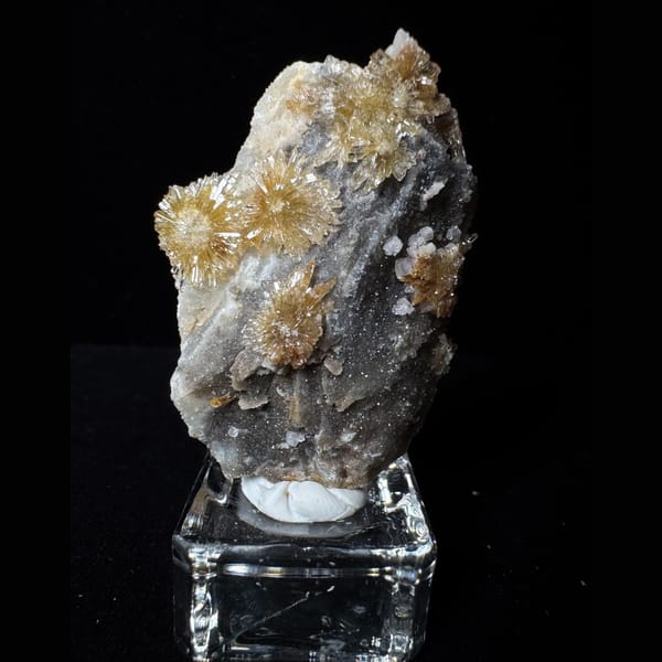 Pale Yellow Creedite Flower 5.0 cm — complete view