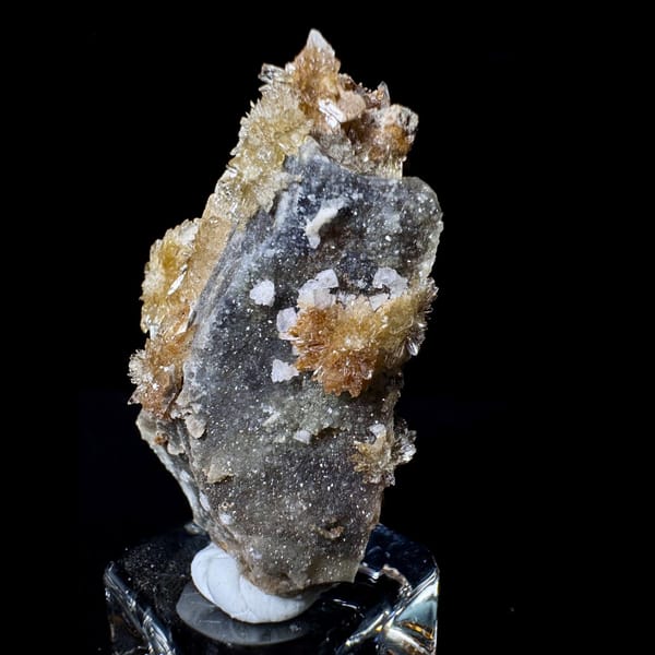 Pale Yellow Creedite Flower 5.0 cm — alternate view