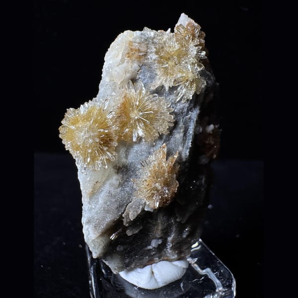 Pale Yellow Creedite Flower 5.0 cm — alternate view
