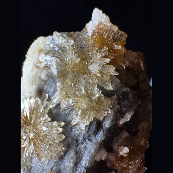 Pale Yellow Creedite Flower 5.0 cm — detail view