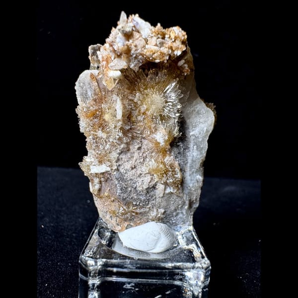 Pale Yellow Creedite Flower 5.0 cm — detail view