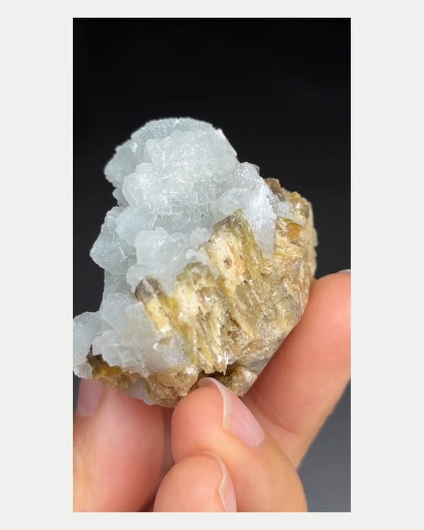 Complete reverse view of prehnite with clinozoisite
