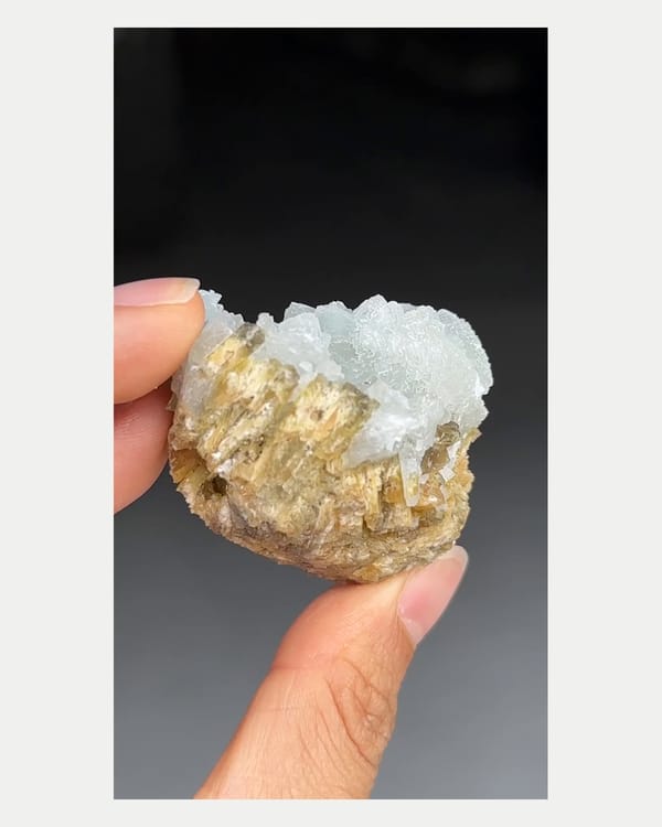 Complete right oblique view of prehnite with clinozoisite