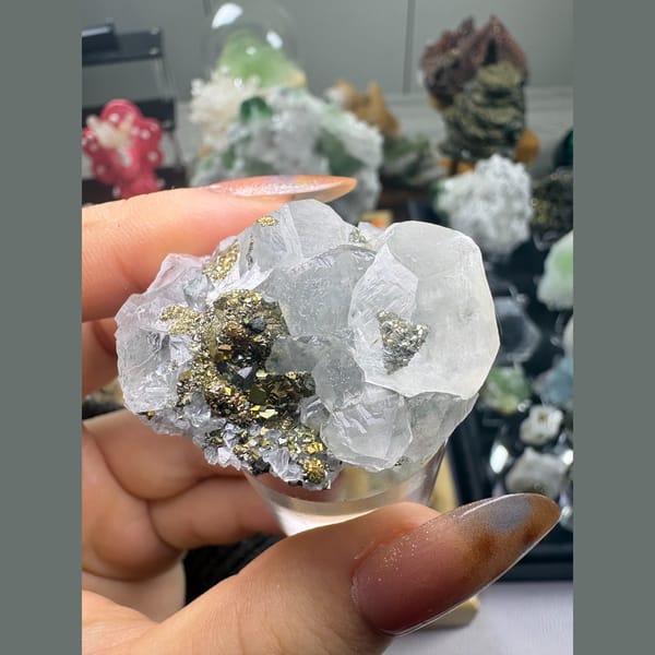 Translucent calcite crystals with brassy pyrite — complete view