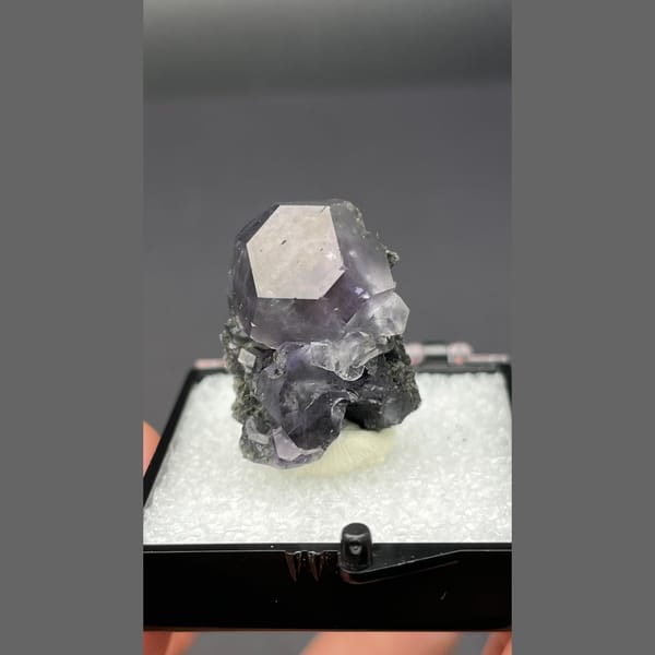 Violet blue fluorite crystal on dark matrix from Fujian — detail view