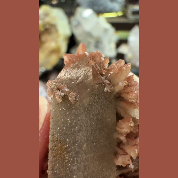 Quartz Half-Coated with Calcite Inner Mongolia 4.5 cm — complete view