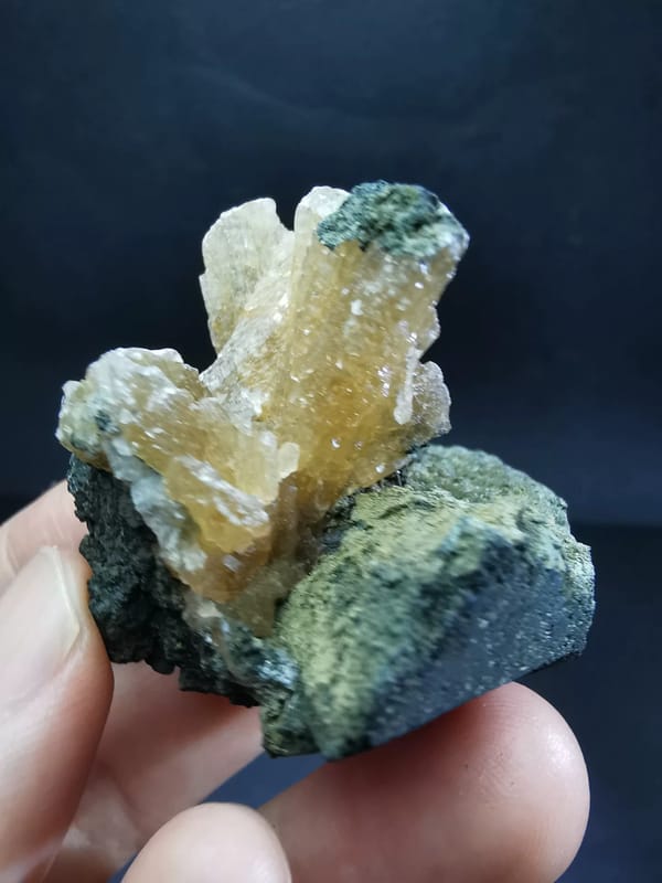 Amber calcite crystals on green matrix — complete tilted side view