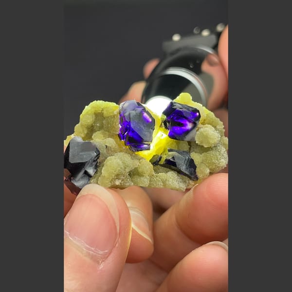 Dark fluorite cubes on pale mica from Inner Mongolia — complete view
