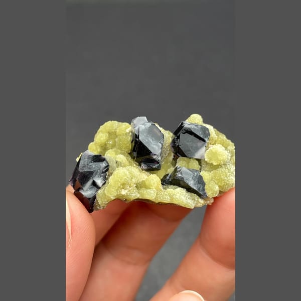 Dark fluorite cubes on pale mica from Inner Mongolia — alternate view