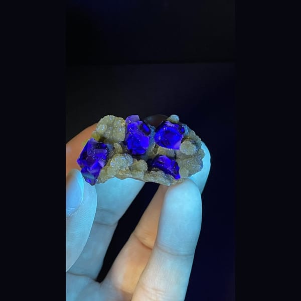 Dark fluorite cubes on pale mica from Inner Mongolia — detail view