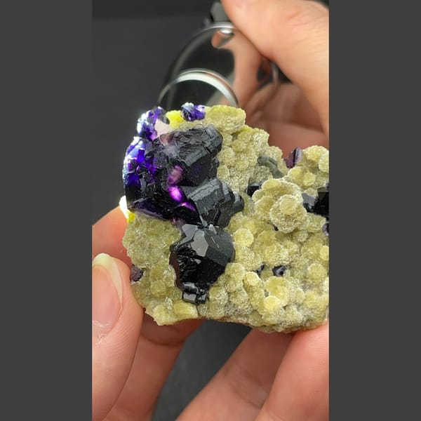 Dark apatite with purple fluorite on yellow-green mica from Inner Mongolia — alternate view