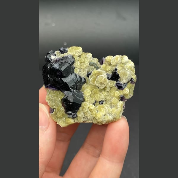 Dark apatite with purple fluorite on yellow-green mica from Inner Mongolia — alternate view