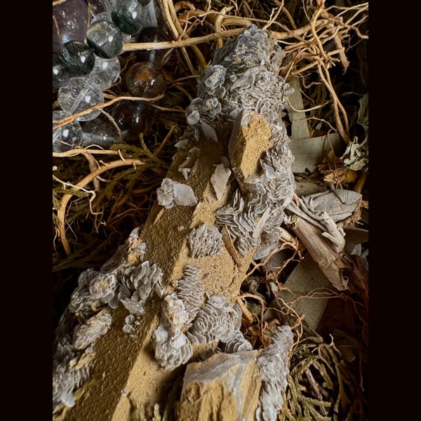Long Quartz with Calcite Inner Mongolia 16.0 cm — alternate view