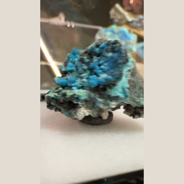 Blue-Green Gibbsite on Matrix 5.0 cm — complete view