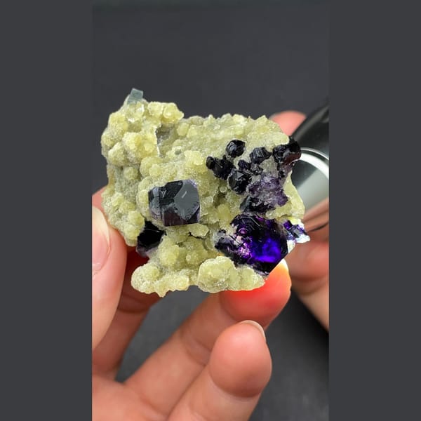 Dark fluorite cluster on mica from Inner Mongolia — complete view