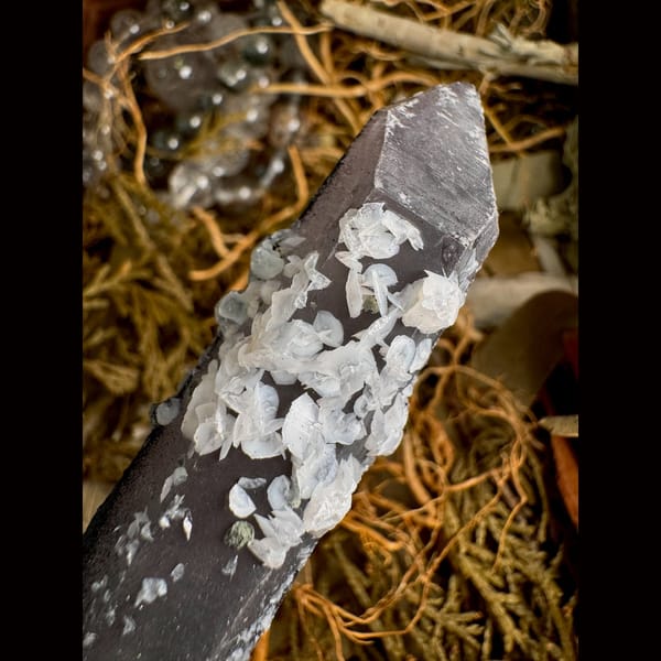 Dark Quartz Crystal with White Calcite Inner Mongolia 12.0 cm — alternate view