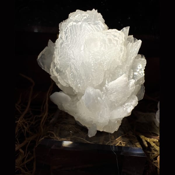 White Petal Calcite Flower 5.0 cm — complete view