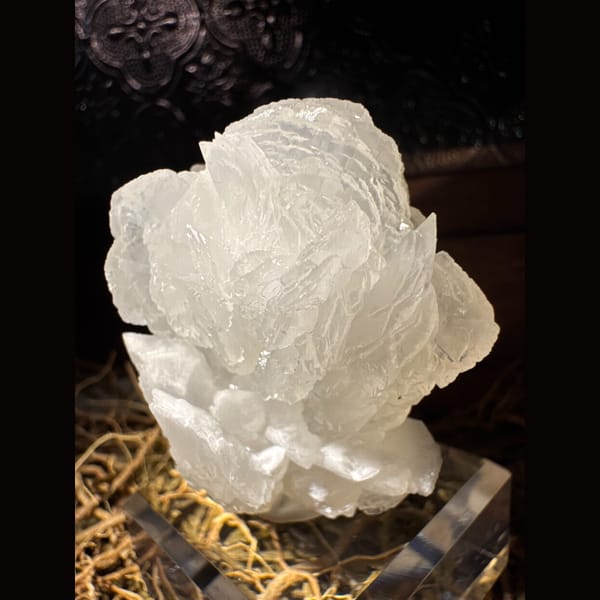 White Petal Calcite Flower 5.0 cm — detail view