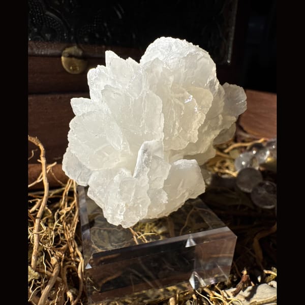 White Petal Calcite Flower 5.0 cm — detail view