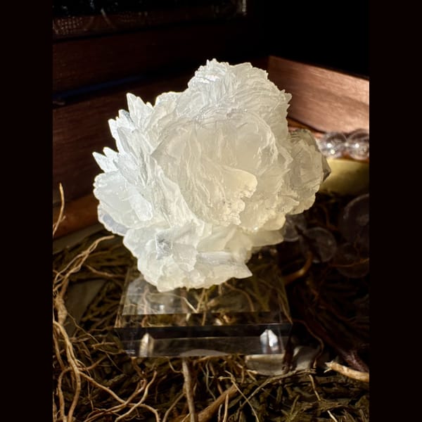 White Petal Calcite Flower 5.0 cm — detail view
