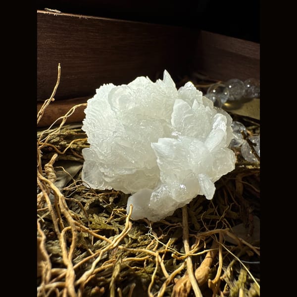 White Petal Calcite Flower 5.0 cm — detail view