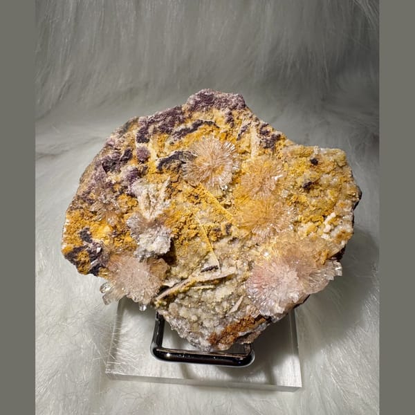 White Creedite Petal Cluster 6.5 cm — complete view