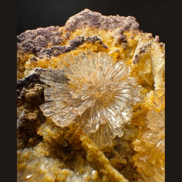 White Creedite Petal Cluster 6.5 cm — detail view