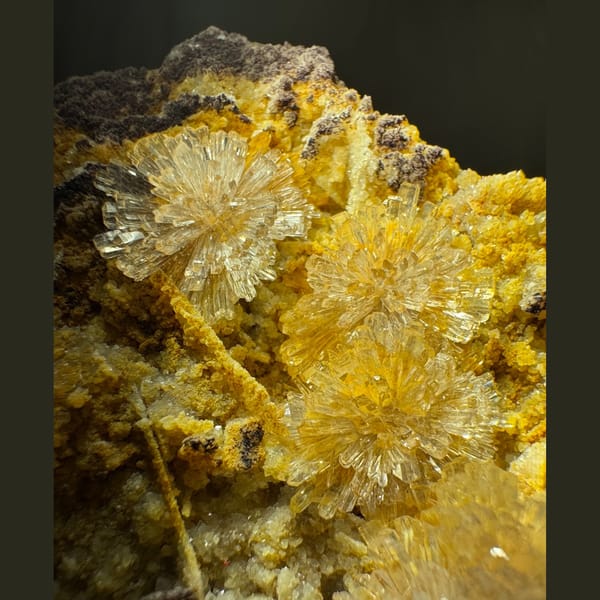 White Creedite Petal Cluster 6.5 cm — detail view