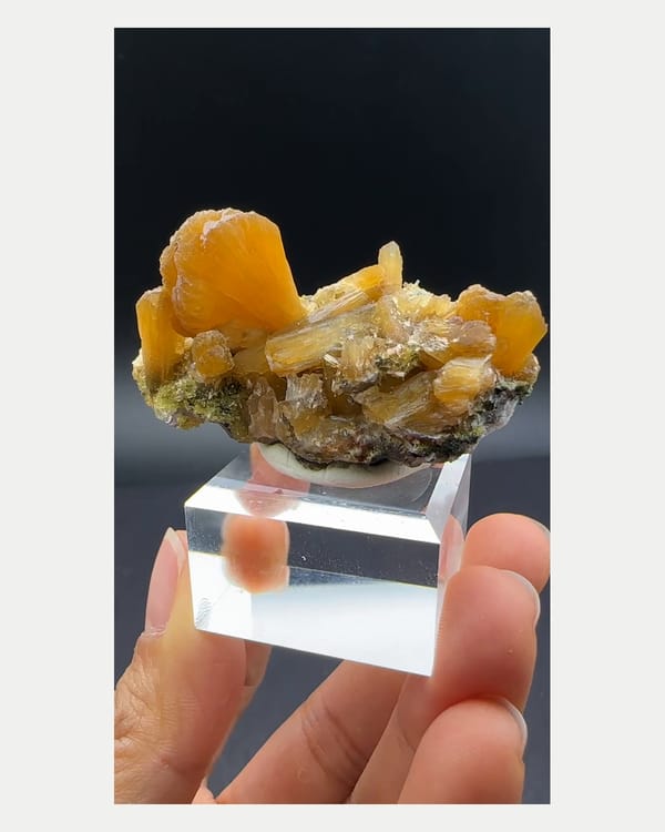 Complete front view of orange stellerite fan cluster