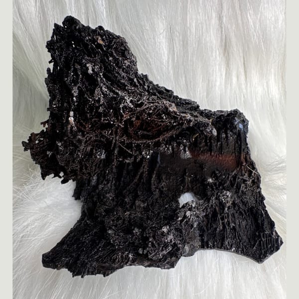 Glossy Black Limonite Guizhou 8.0 cm — complete view