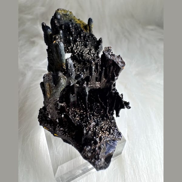 Branching Black Limonite Guizhou 8.0 cm — complete view